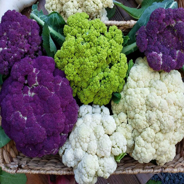 Cauliflower