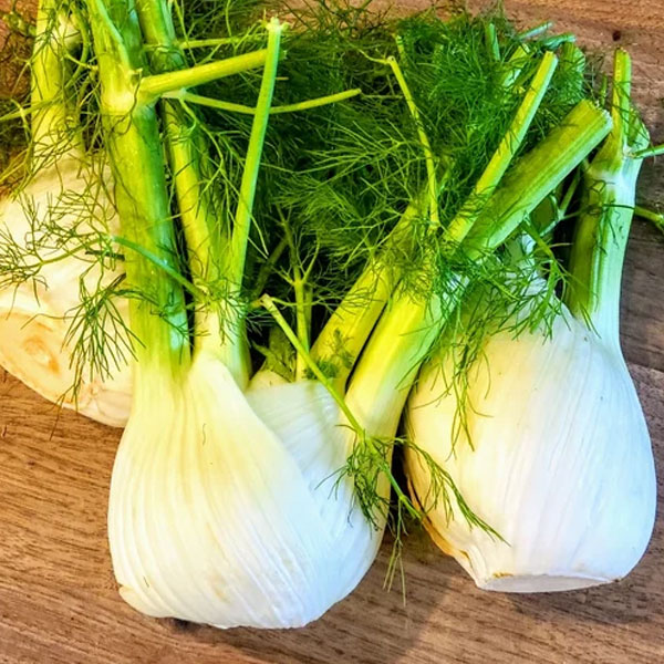 Fennel