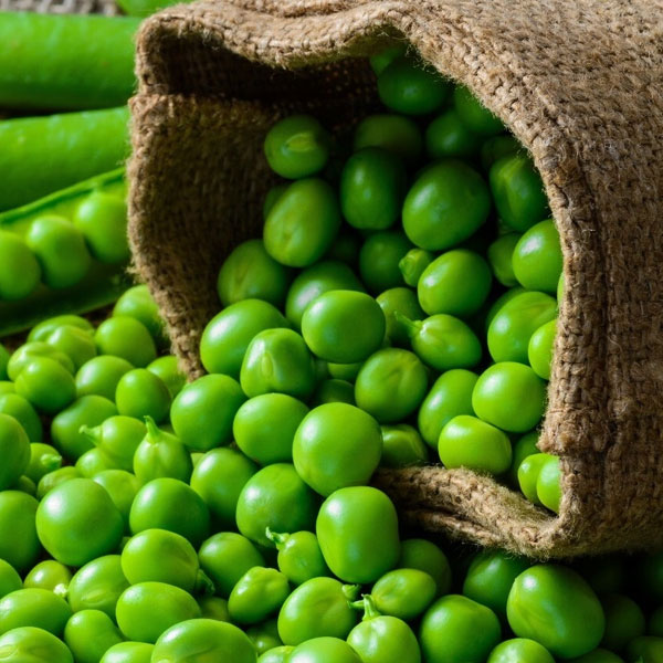 Green Pea