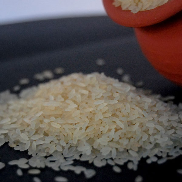 Medium Grain Rice