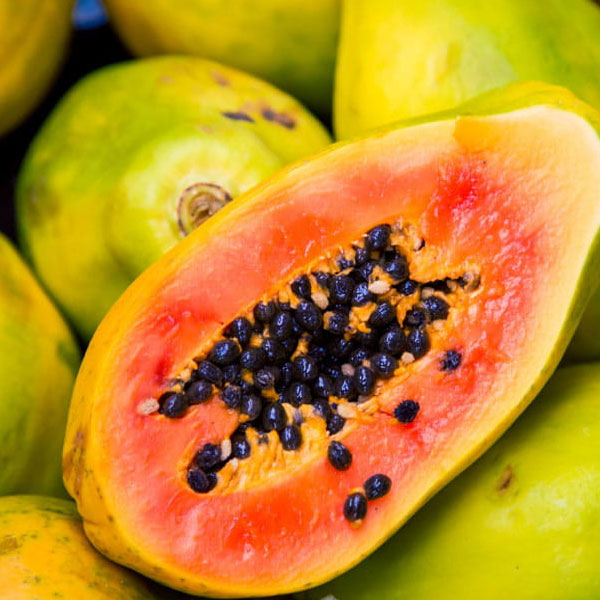 Papaya