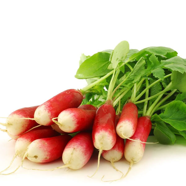 Radish