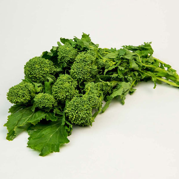 Rapini